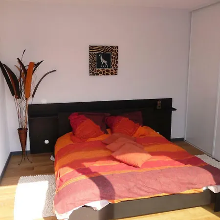 A Sainte Lucie De Porto Vecchio Avec Piscine 84424 Apartamento